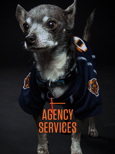 Chicago Bears Chicago Bears | THE CREATIVE BEAST